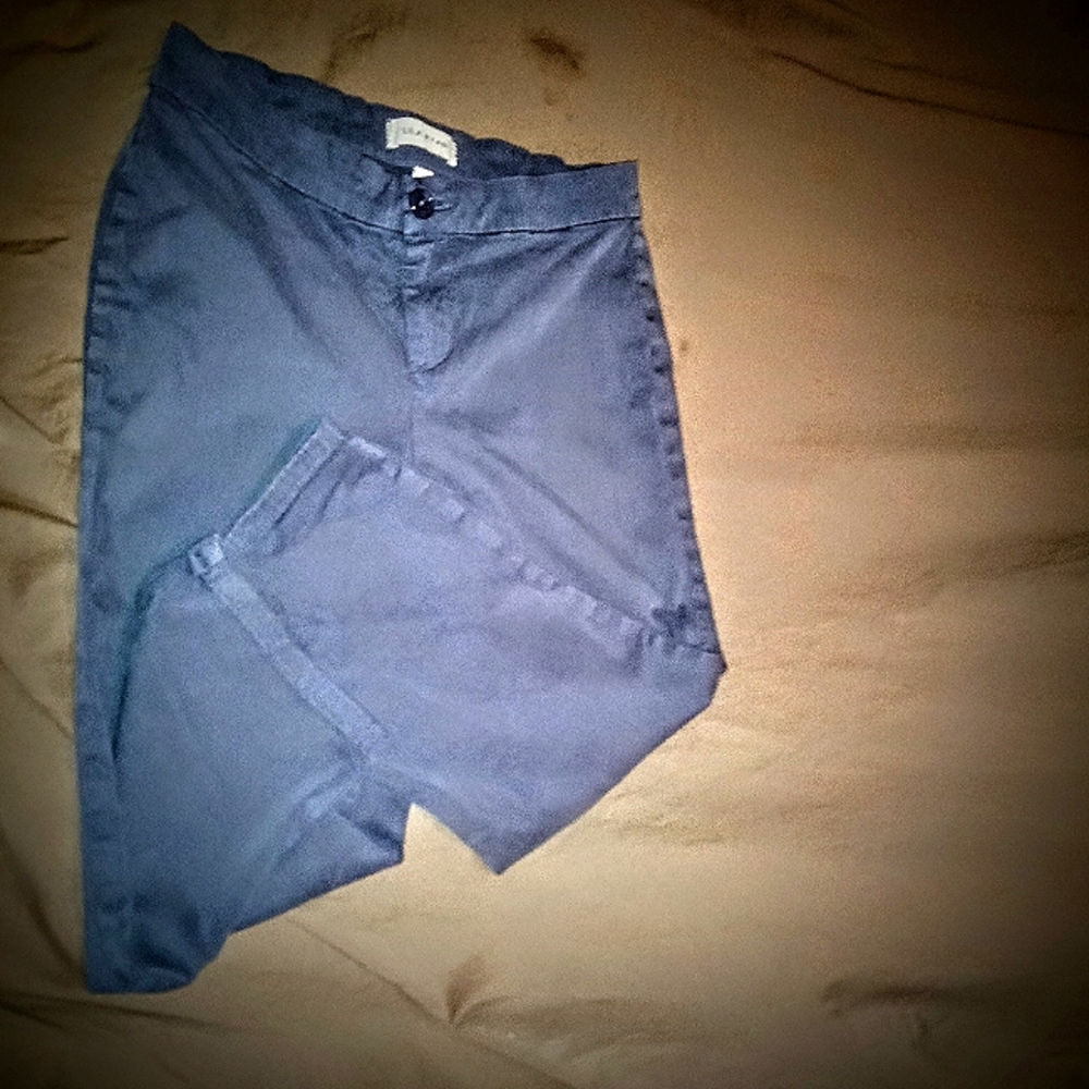 Lila Ryan Steel  Blue Capris!!!